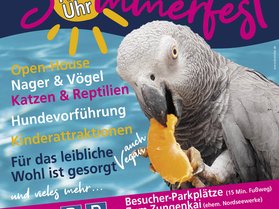 Sommerfest Tierheim