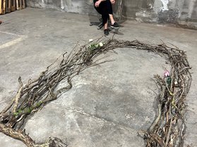 Marsha Pels - Site Reclaimed. Altes Land, Neu